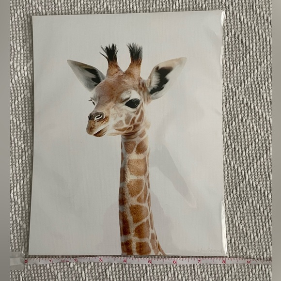 8x10 in. Safari Baby Animals Nursery Wall Decor, 6 Pictures - Picture 10 of 12
